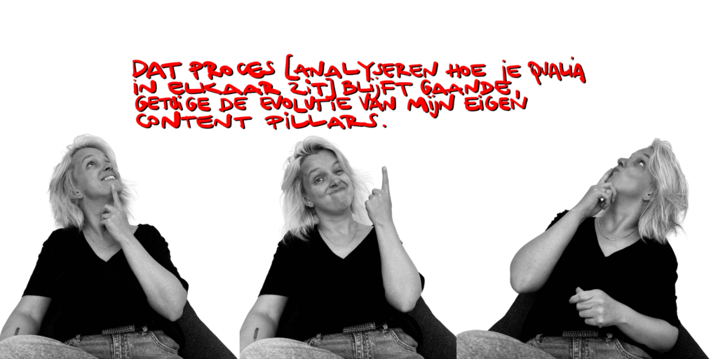 Dat proces [van analyseren hoe jouw qualia in elkaar zit] blijft gaande, getuige de evolutie van mijn eigen content pillars.